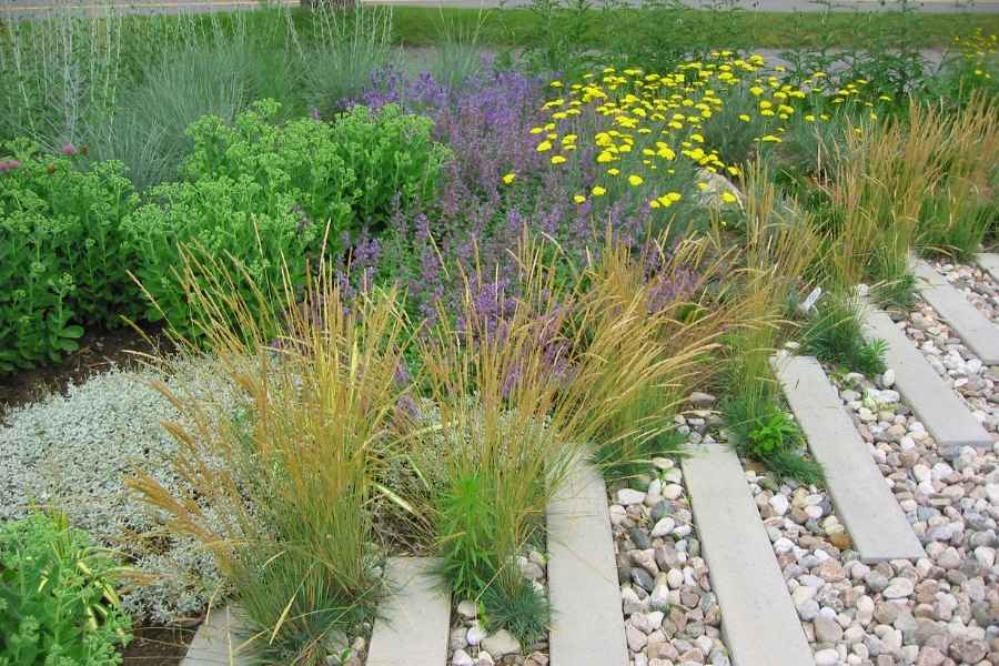 Un aménagement paysager fleuri bordé de dalles et de galets.